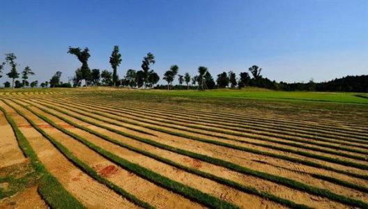 山水林田湖草 調查知多少?第三次全國國土調查最新進展來了!