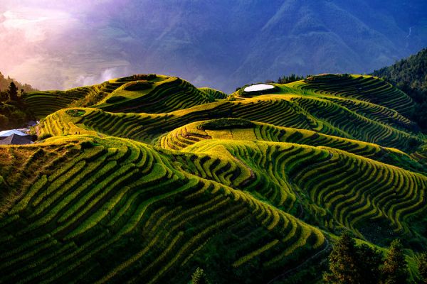 1576744238791905.jpg tr1.jpg