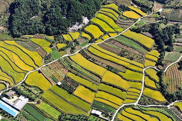 1576744351967135.jpg 農(nóng)田新新新新.jpg